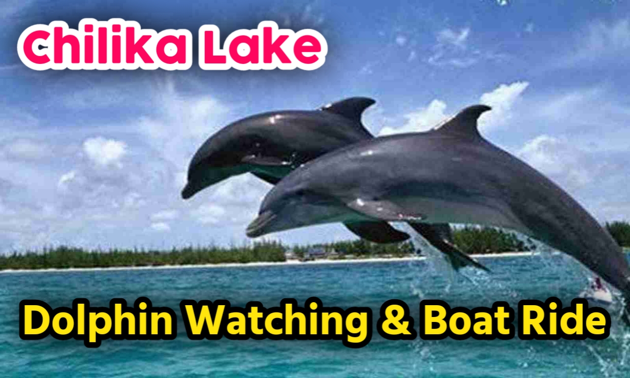 Chilika Lake Tour Package – Taxi Booking, Dolphin Tour & Sightseeing from Puri