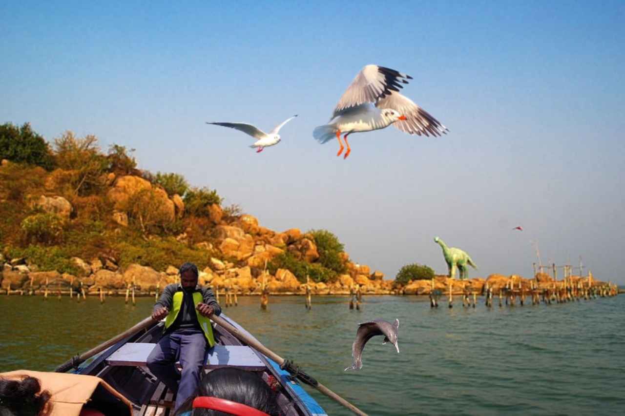 Chilika Lake Adventures – Boating, Sightseeing & More
