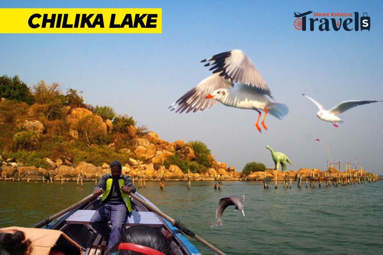 Chilika Lake Tour with Boating & Sightseeing